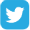 twitter button